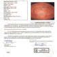 Tom Brady Signed "The Duke" NFL Official Game Ball Inscribed "10-4-20". Certified by JSA authentic-signatures