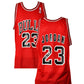 Michael Jordan Jersey Chicago Bulls Jersey Certified by Michael Jordan authentic-signatures