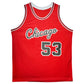 Maillot "HOF 11" Custom Domicile Chicago Bulls signe par Artis Gilmore certifie par JSA authentic-signatures