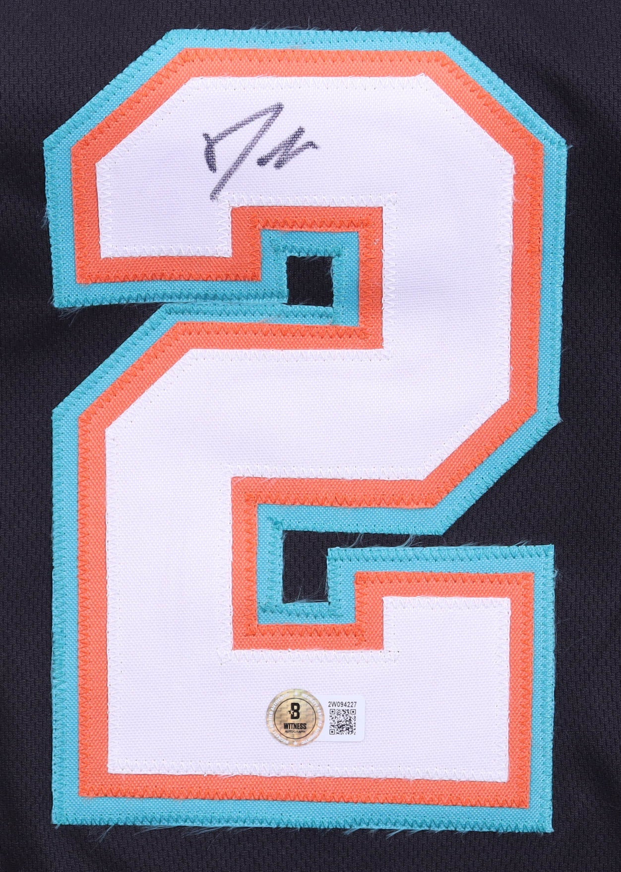 JASON WILLIAMS SIGNED GRIZZLIES JERSEY authentic-signatures